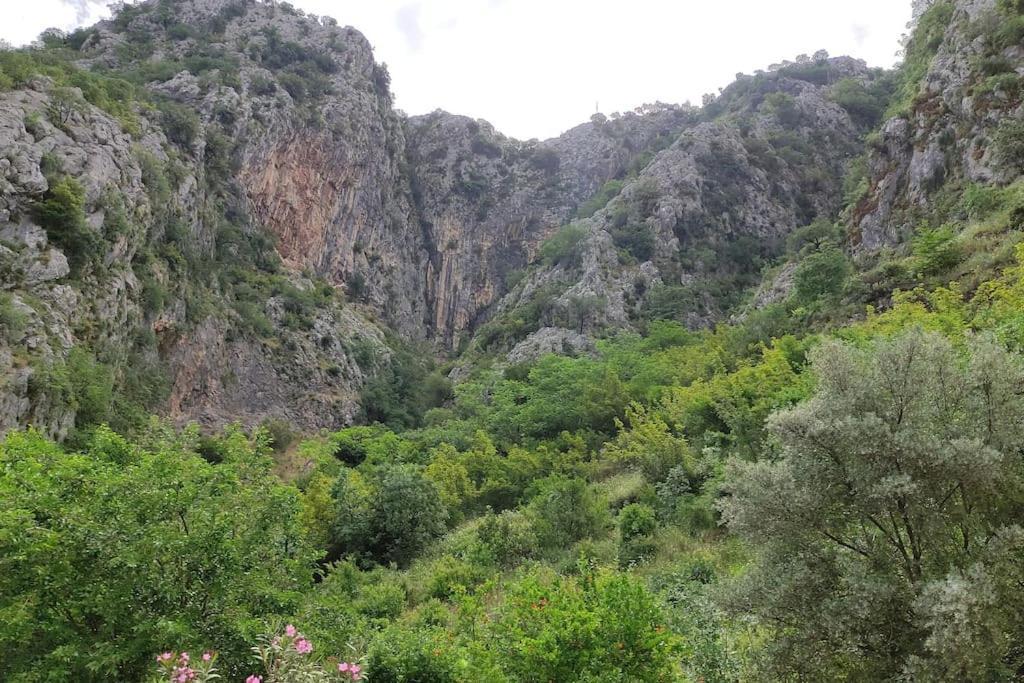 Nature Bay Apartment Κότορ Εξωτερικό φωτογραφία
